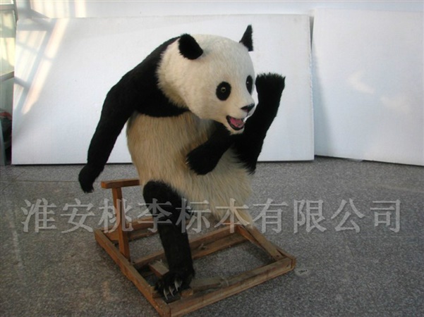 仿真大熊猫