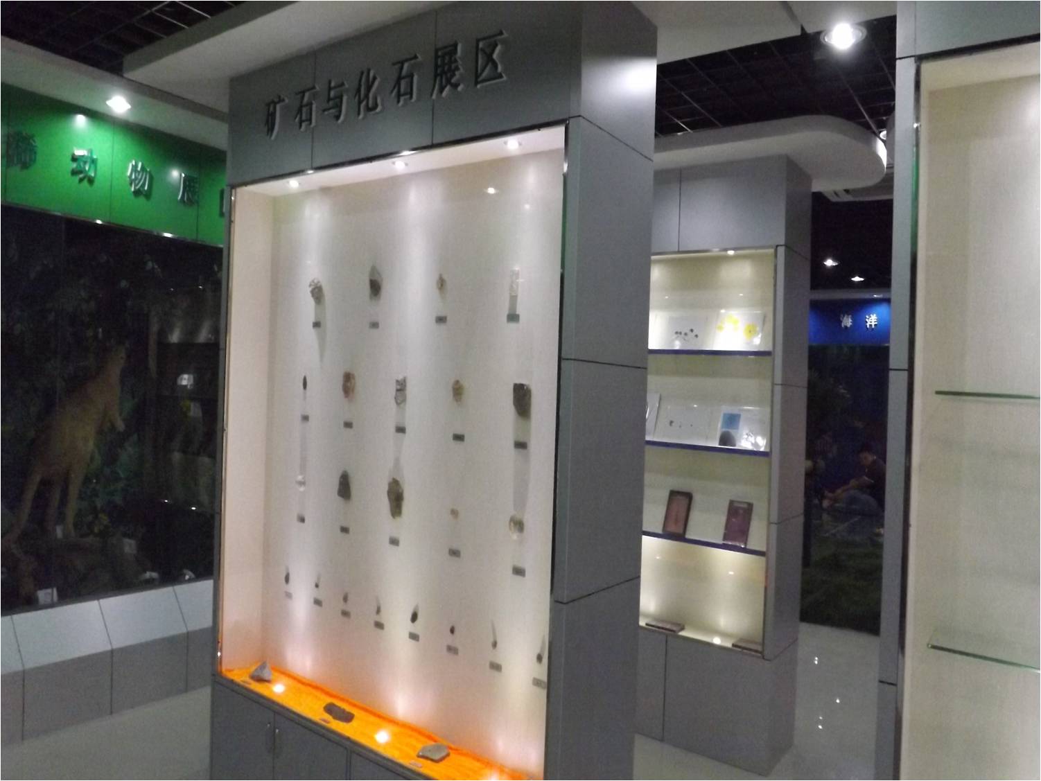 矿石与化石标本展区