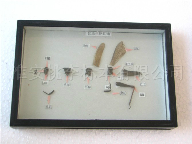 118